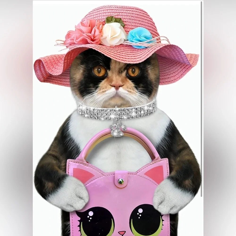 Gorgeous Bling Dog Cat Collar